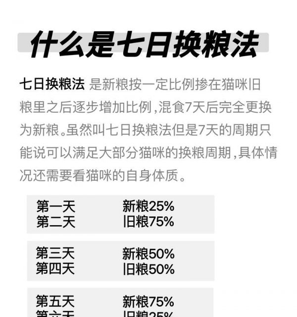 猫咪成年后换猫粮需要注意什么？如何正确更换猫粮？