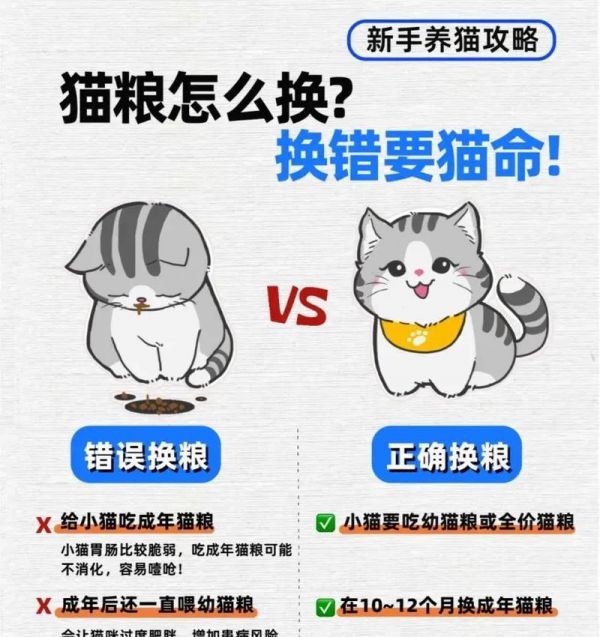 猫咪成年后换猫粮需要注意什么？如何正确更换猫粮？