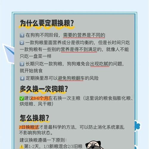 狗狗换粮期应该怎么吃？换粮期需要注意什么？