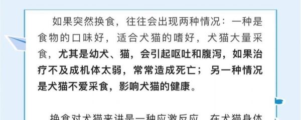 狗狗换粮期应该怎么吃？换粮期需要注意什么？