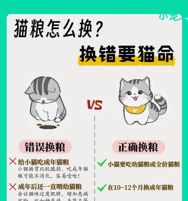 猫咪需要换粮的信号是什么？如何正确更换猫粮？