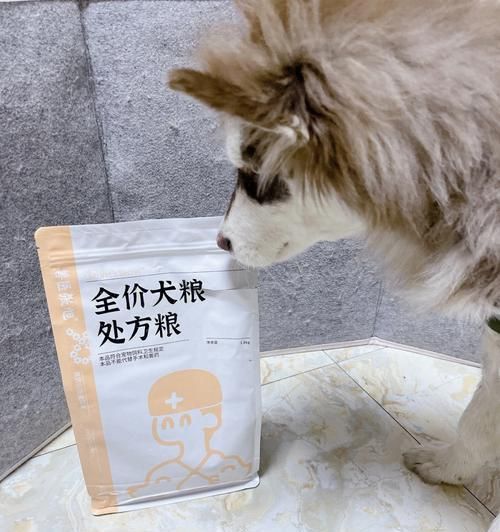如何科学地为宠物狗换狗粮（狗粮换新指南，关注宠物健康）