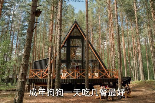 成年狗狗一天吃几餐最好