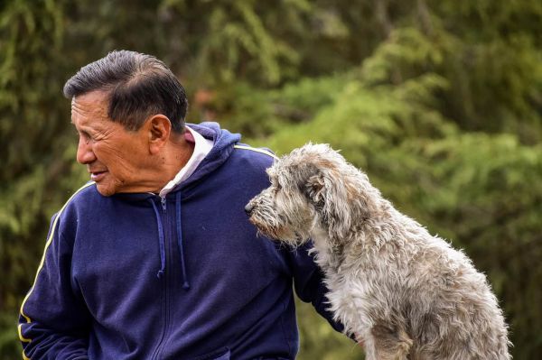 老年人, 动物, 狗, 老人与他的狗, 宠物与主人, 宠物, 老年人, 老年人, 老年人, 老年人, 老年人