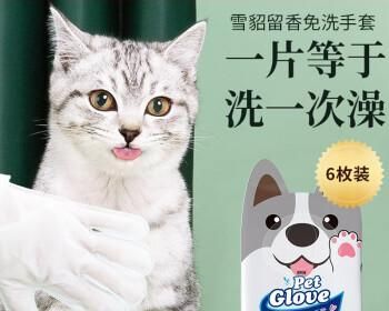 猫咪用品图片大全-满足您的猫咪需求的终极指南（为您的爱猫选择最佳用品）