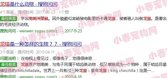 龙猫资料介绍