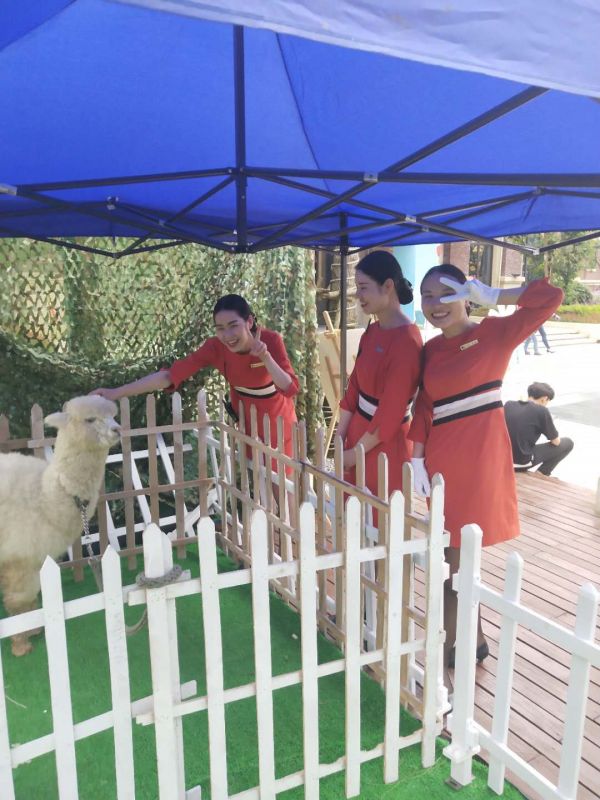 微信图片_20190505142345.jpg