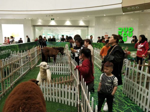 微信图片_20190410052917.jpg