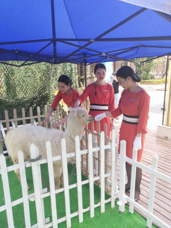微信图片_20190505142340.jpg