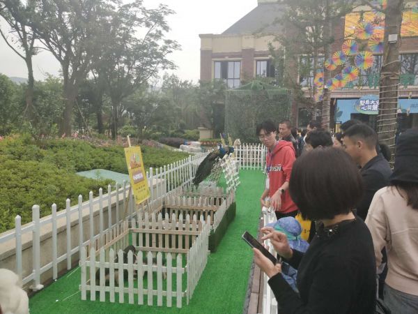微信图片_20190505142311.jpg
