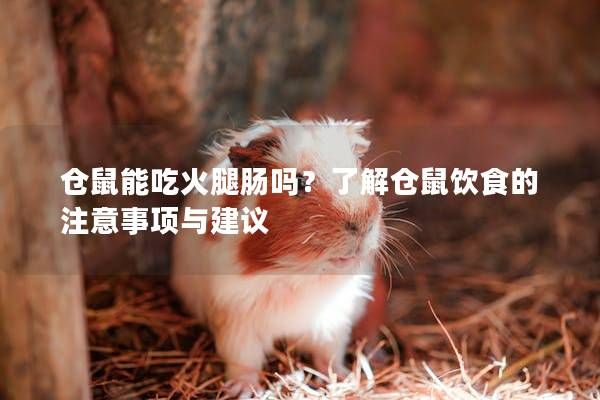 仓鼠能吃火腿肠吗？了解仓鼠饮食的注意事项与建议