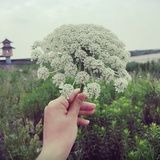 林小洛