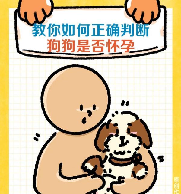 怀孕母狗的饮食需求及喂养技巧（了解母狗怀孕期的饮食需求，为健康宝宝提供充足营养）