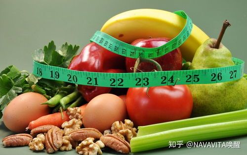 母犬营养,健康基石,饮食关键。