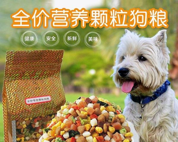 比熊孕期应该如何搭配营养？