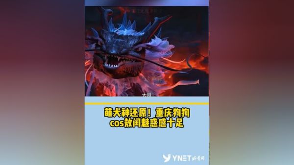 Thumbplayer Poster Plugin Image