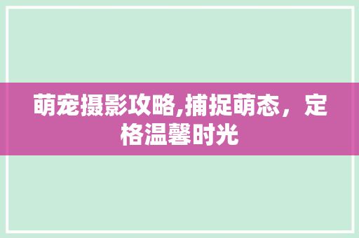 萌宠摄影攻略,捕捉萌态，定格温馨时光