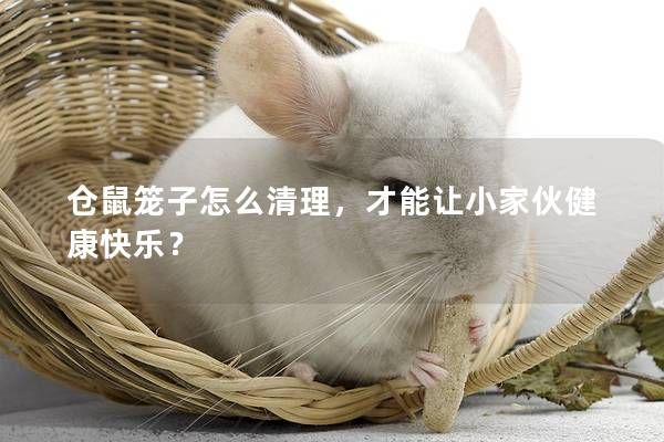仓鼠笼子怎么清理，才能让小家伙健康快乐？