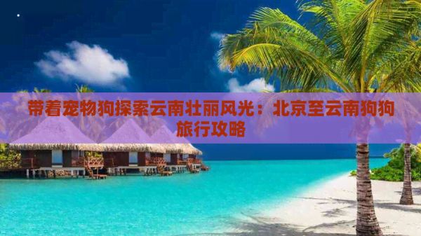 带着宠物狗探索云南壮丽风光：北京至云南狗狗旅行攻略