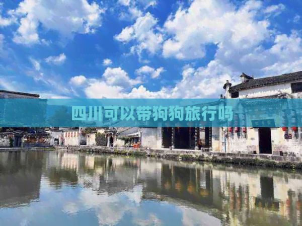 四川可以带狗狗旅行吗