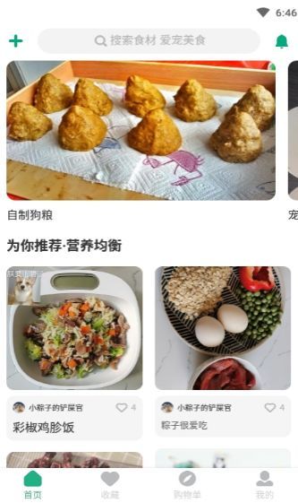 宠物口腔健康食谱分享