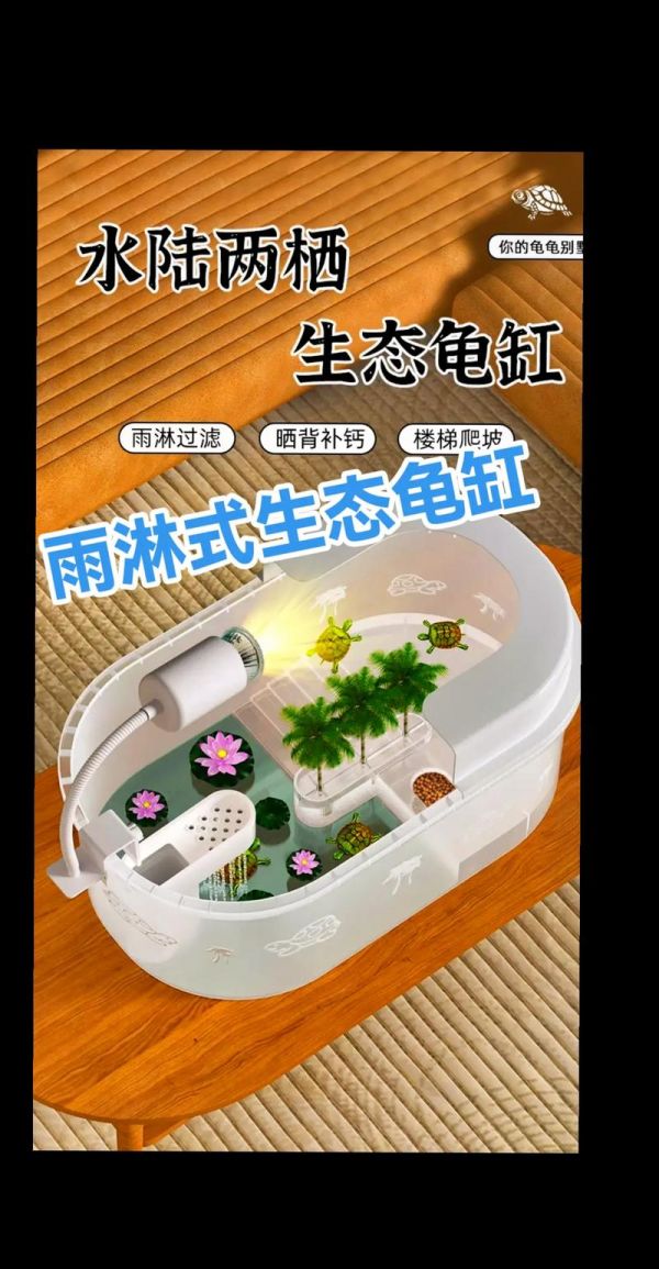龟缸如何养水
