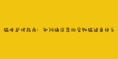 猫咪护理指南：如何确保您的宠物猫健康快乐