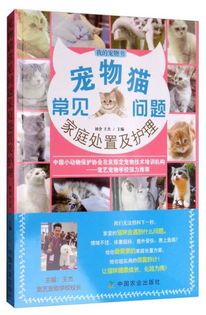 宠物猫最佳护理指南