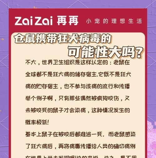 宠物鼠咬人事件的排名情况如何？