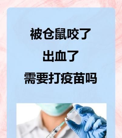 宠物鼠咬人事件的排名情况如何？