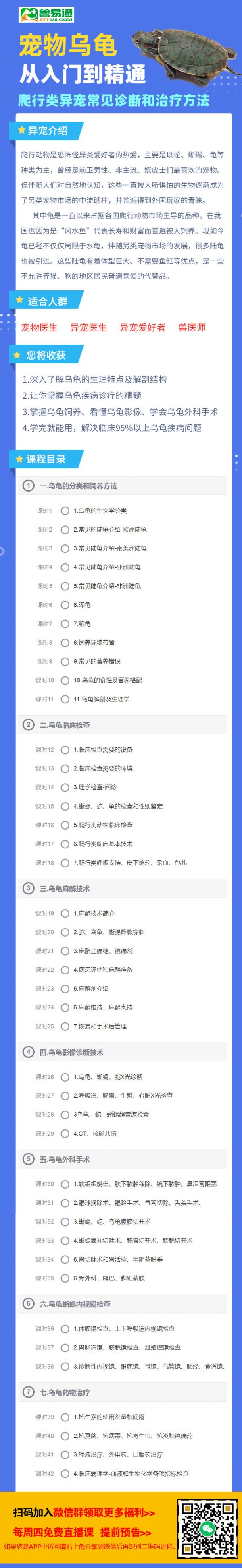 乌龟.png