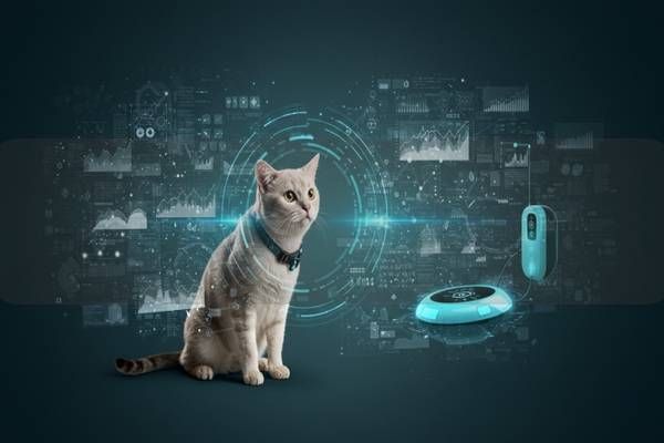 宠物检验报告解读：利用宠物AI大模型提升健康管理与养护效率