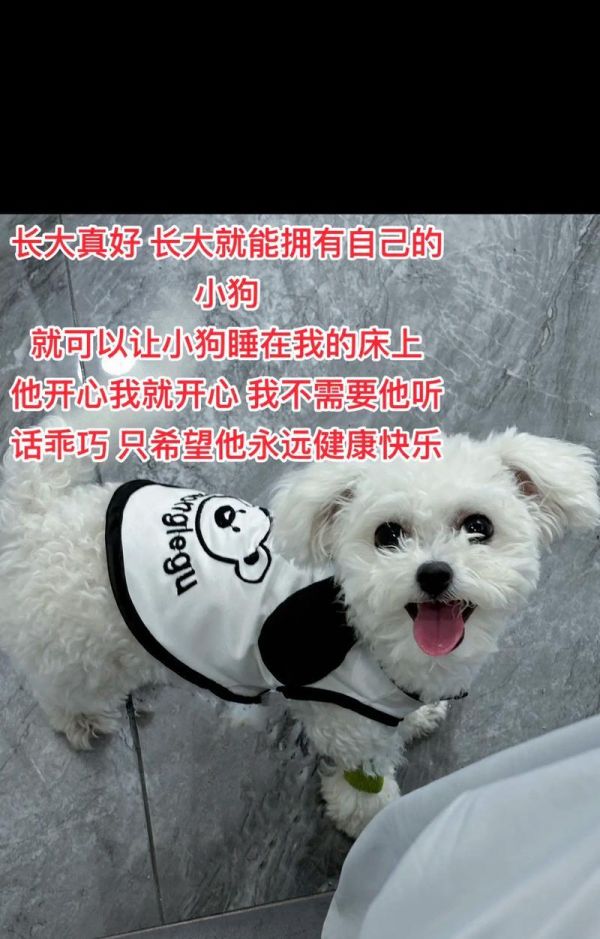 小狗生病（宠物健康的重要性及如何保护小狗的健康）