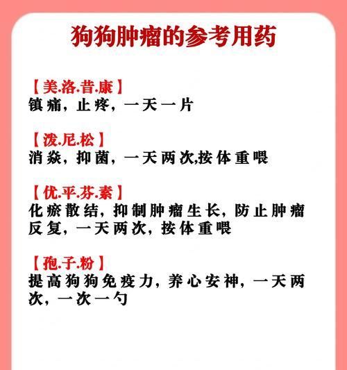 小狗生病（宠物健康的重要性及如何保护小狗的健康）