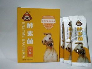 宠物小狗便秘,及时调整饮食。