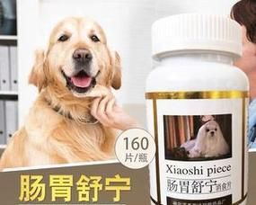 宠物狗消化好帮手——狗狗消食片的正确用法（善待你的狗狗）