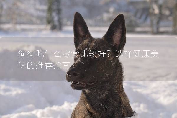 狗狗吃什么零食比较好？选择健康美味的推荐指南