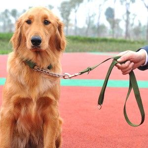 上海虹口宠物犬行为纠正 工作犬训练基地 欢迎来电
