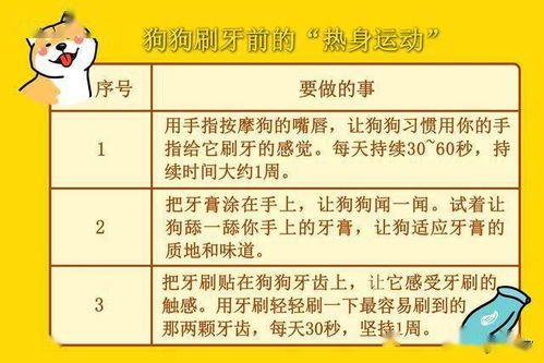 宠物牙结石,预防护理是关键。