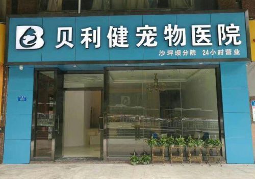 唐山宠物医院：宠物健康护理指南？唐山市宠物医院排名及服务介绍