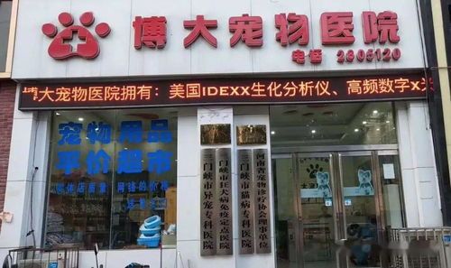唐山宠物医院：宠物健康护理指南？唐山市宠物医院排名及服务介绍