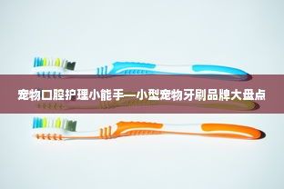宠物口腔护理小能手—小型宠物牙刷品牌大盘点