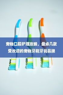 宠物口腔护理攻略，盘点几款受欢迎的宠物牙刷牙膏品牌