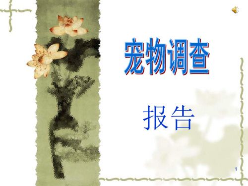 宠物调查报告ppt课件