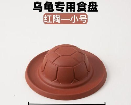 黄缘闭壳龟的最佳饮食配比（满足不同阶段需求，科学喂养你的黄缘闭壳龟）