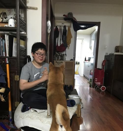 犬类饲养员必读的书籍（提升饲养技能与犬类健康知识的必备读本）