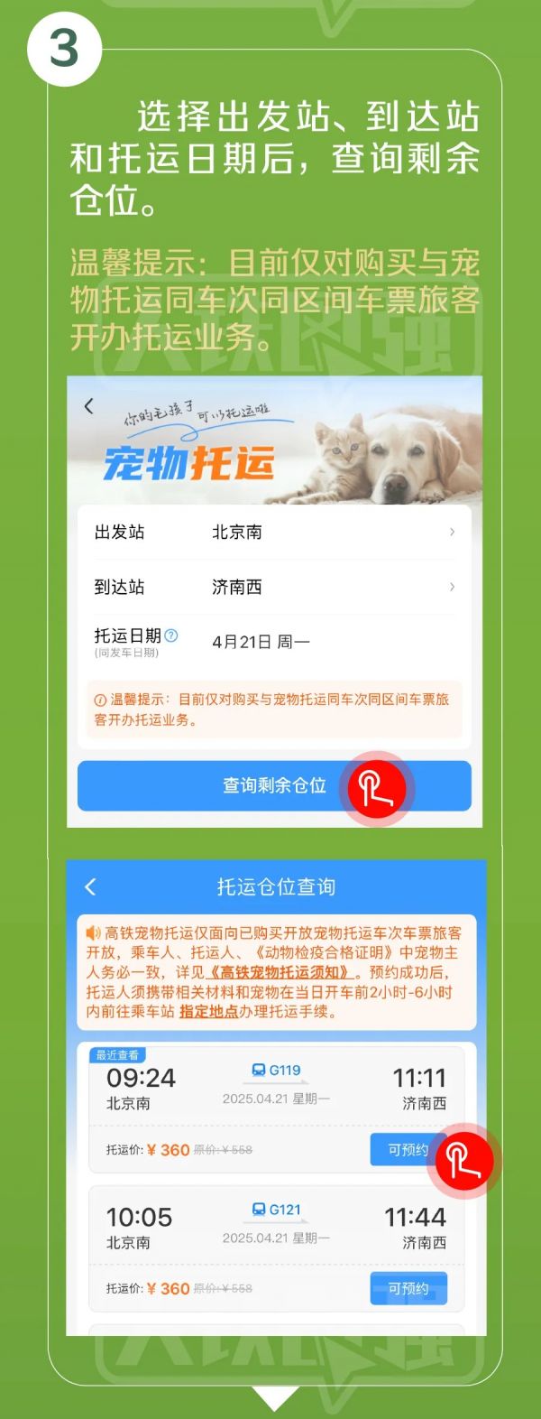高铁宠物托运服务试点范围今起扩大，详细指南来了