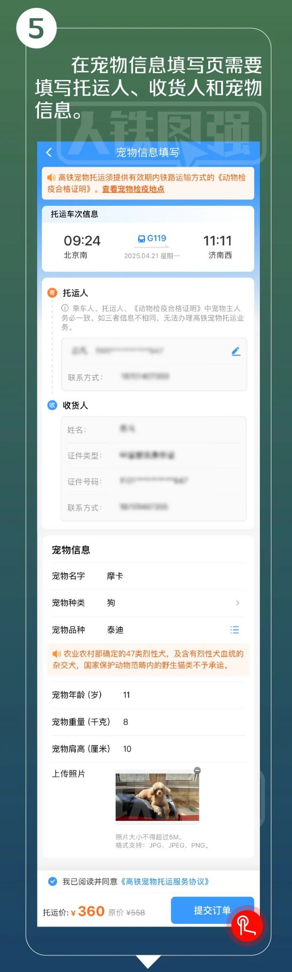 高铁宠物托运服务试点范围今起扩大，详细指南来了