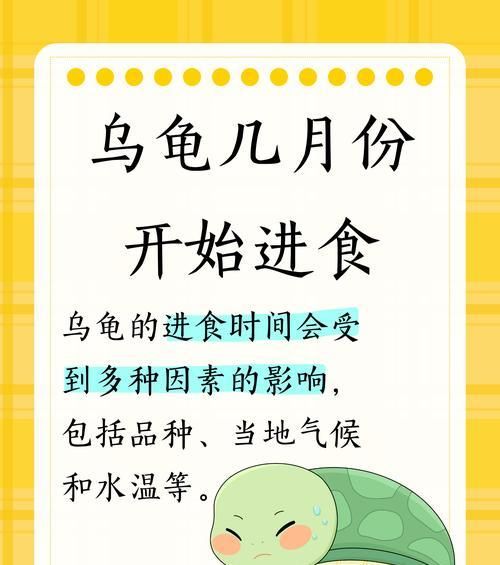 乌龟的饮食习性与健康养护（探究乌龟的食物来源及其重要性）