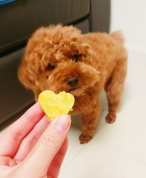 自制宠物能量饼干营养丰富放心食用的做法 步骤7